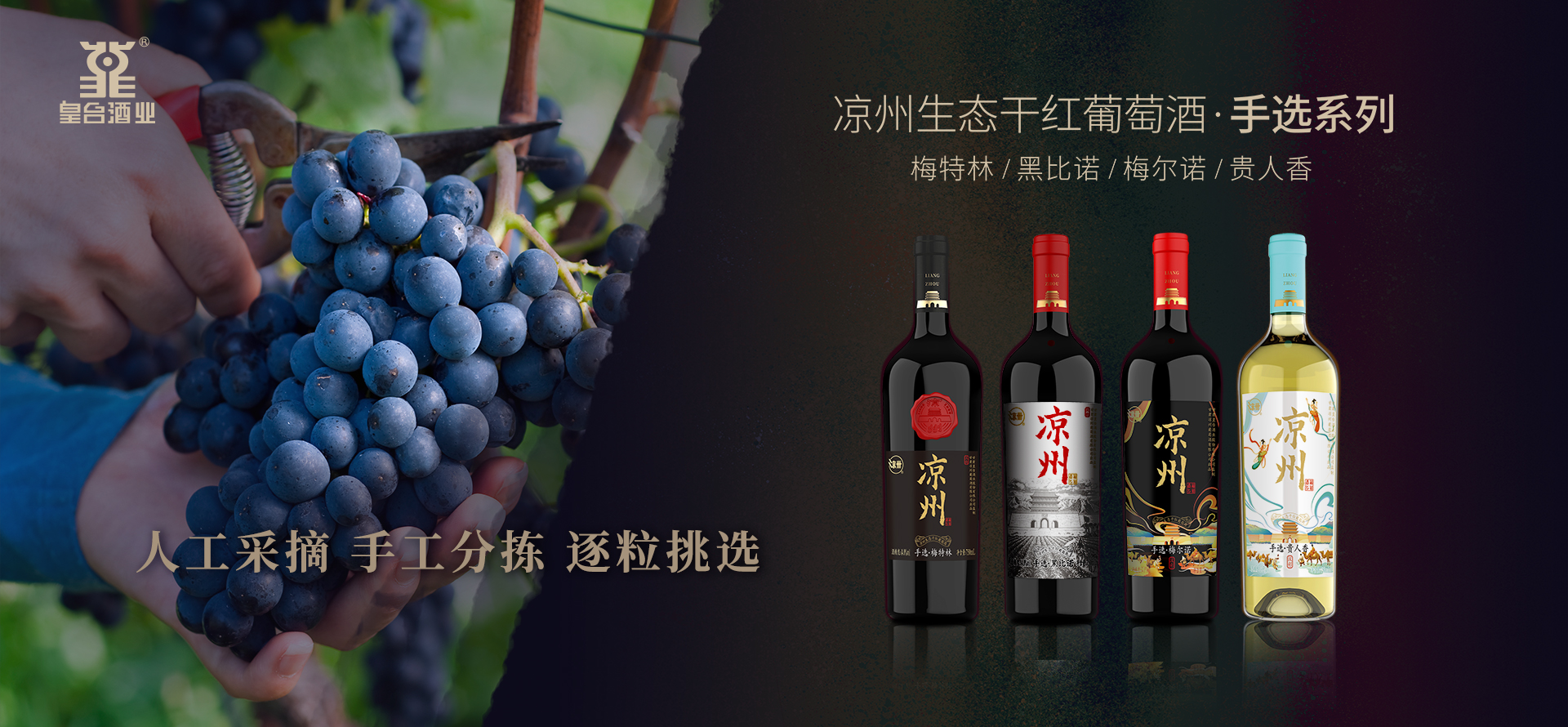 涼州生态幹紅葡萄酒.手選系列